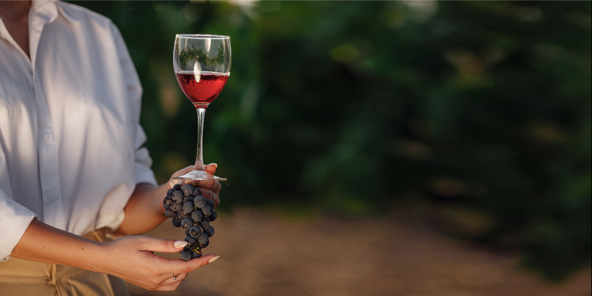Il valore degli E-commerce nel settore del vino in Italia