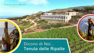 Vendita vino estero, vendita diretta, D2C