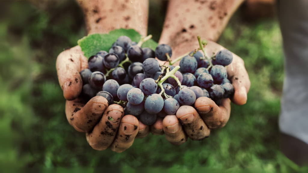 Produzione sostenibile
